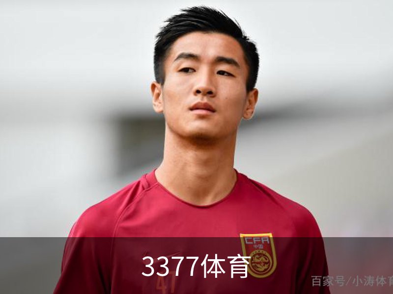 3377体育概况